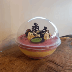 IJsbol mango bosvruchten (lactosevrij) 3/4 persoons